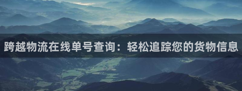 28圈加拿大app预测：跨越物流在线