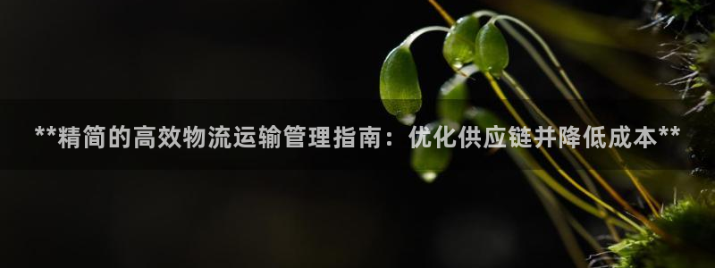 28圈哪个最赚钱