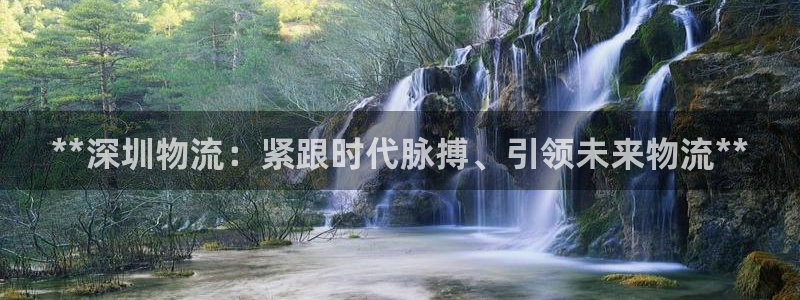 28圈.ccmpc28：**深圳物流