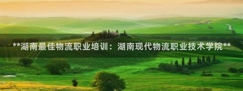 28圈游戏链接：**湖南最佳物流职业