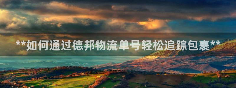 28圈能不能退：**如何通过德邦物流