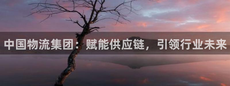 28圈哪个最赚钱