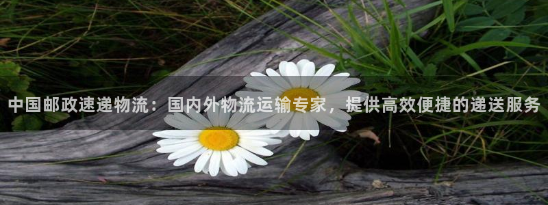 28圈圈助手