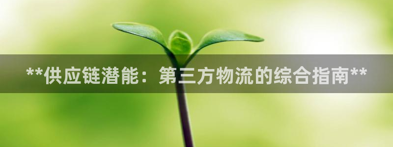 28圈官方版正版