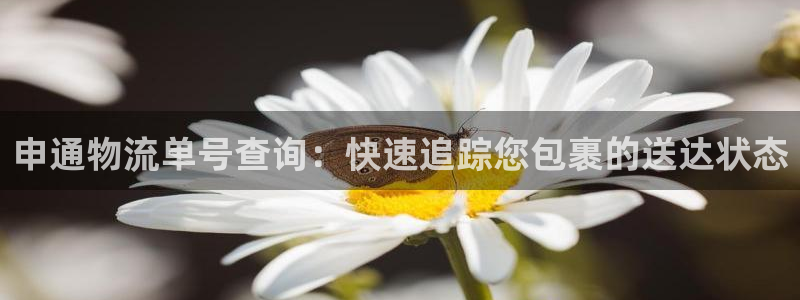 28圈登录流程：申通物流单号查询：快