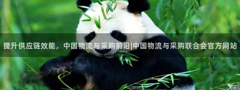 28圈网站平台是多少