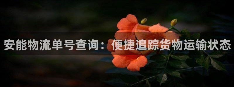 28圈是南宫旗下的吗：安能物流单号查