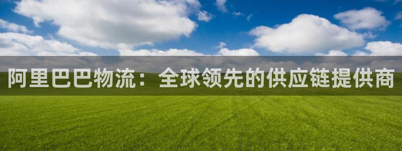 28圈娱乐官网网页入口：阿里巴巴物流
