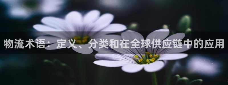 28圈ccm官网版：物流术语：定义、