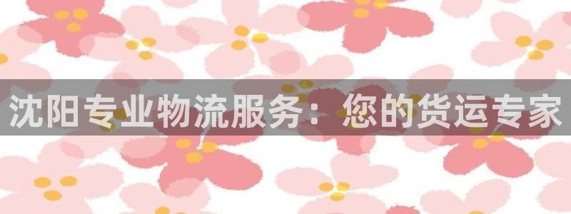 28圈软件