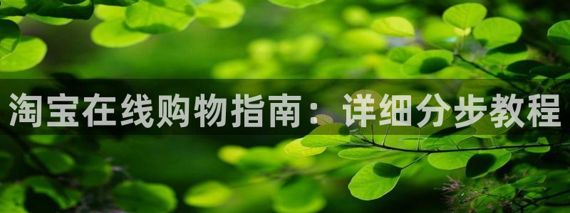 28圈.ccmpc预测