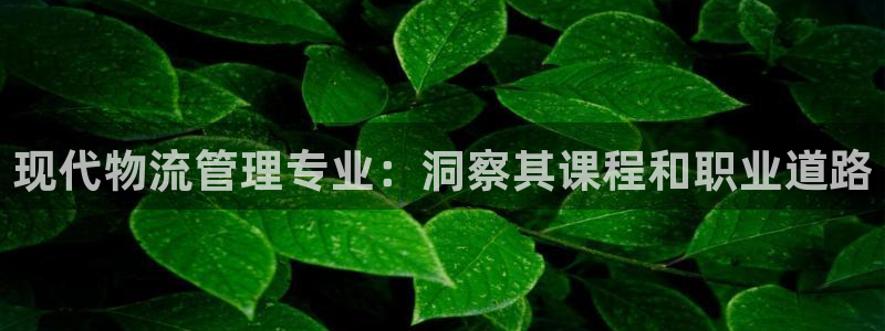 28圈龙虎