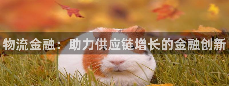 28圈.ccmpc预测：物流金融：助
