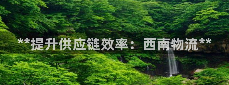 pc28圈怎么注册：**提升供应链效