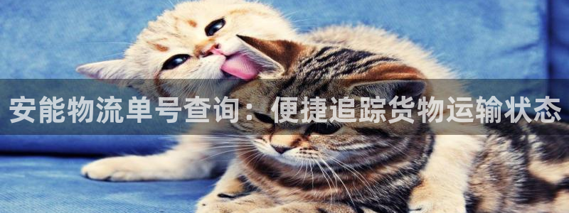 28圈登录流程：安能物流单号查询：便