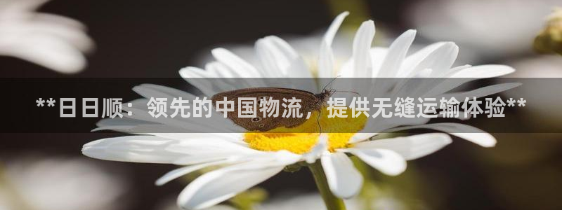 28圈加拿大pc预测