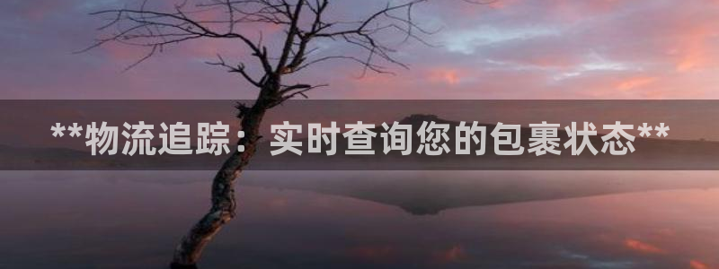 28圈预测加拿大