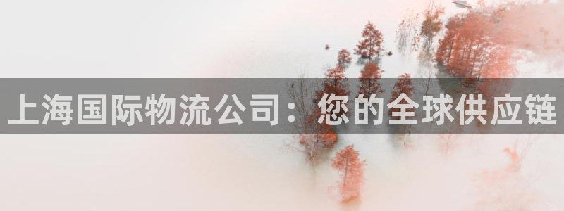 28圈里的财神：上海国际物流公司：您