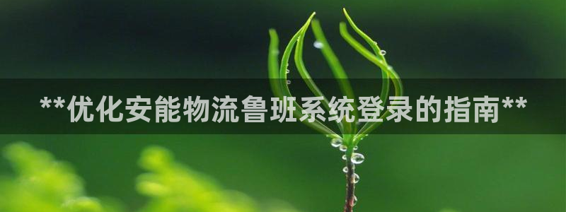 28圈合法吗：**优化安能物流鲁班系