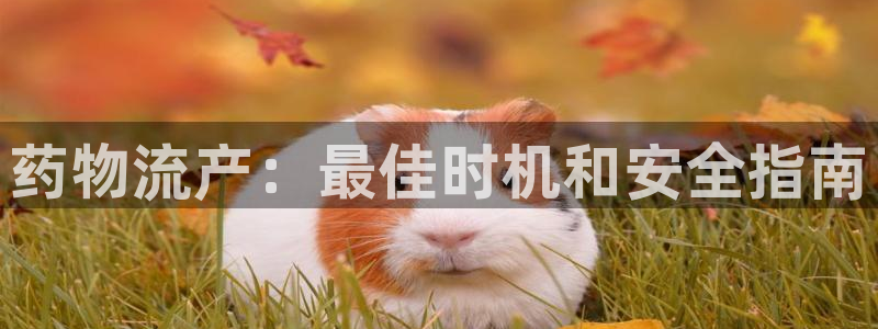 28圈反水