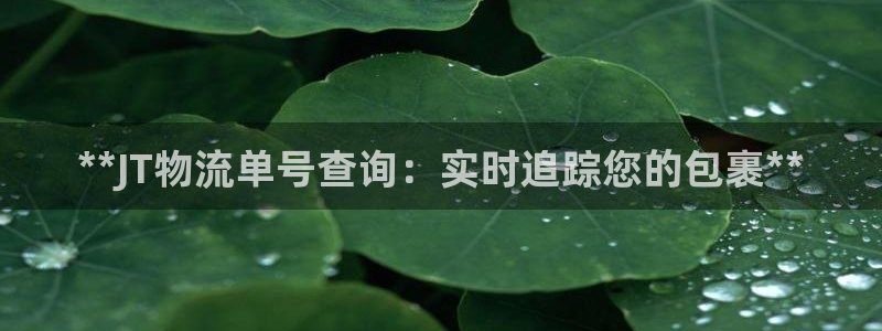 28圈初始资金密码在哪里改