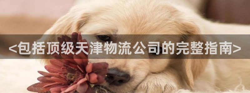 28圈p扣款什么意思