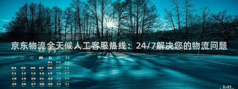 28圈玩法：京东物流全天候人工客服热