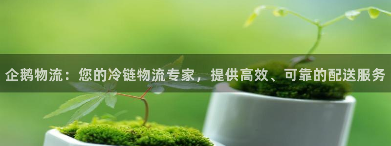 28圈加拿大app预测