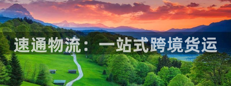 28圈注册账号：速通物流：一站式跨境