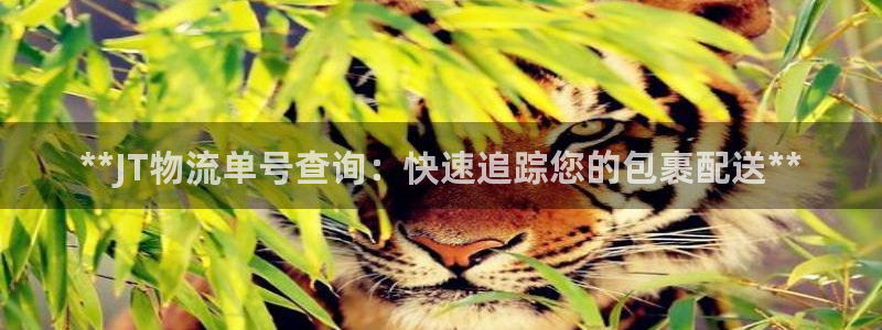 28圈怎么下载不了