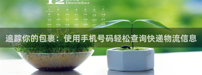 28圈电子游戏