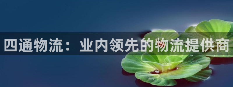 28圈官网平台：四通物流：业内领先的