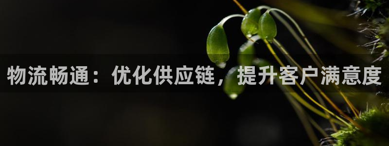28圈正规吗?