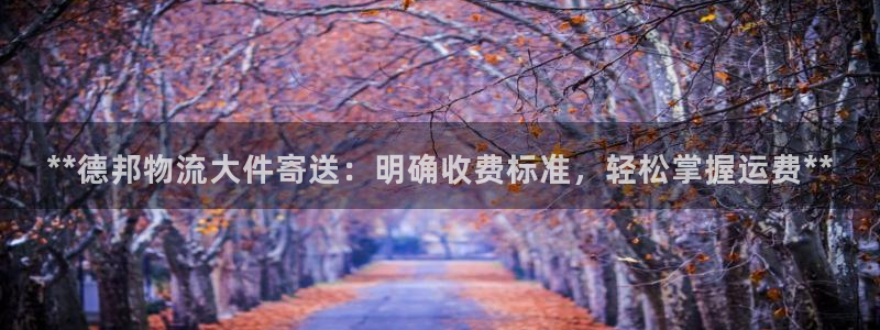 28圈圈