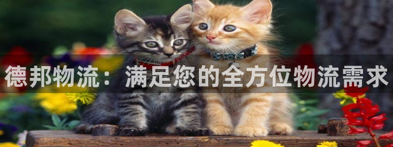 28圈自行车搞笑图片