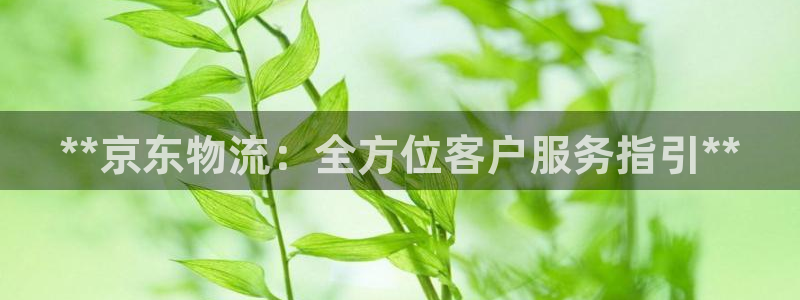 28圈推广链接是多少粉丝：**京东物