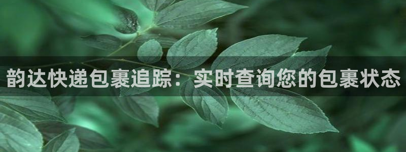 28圈加拿大预测：韵达快递包裹追踪：