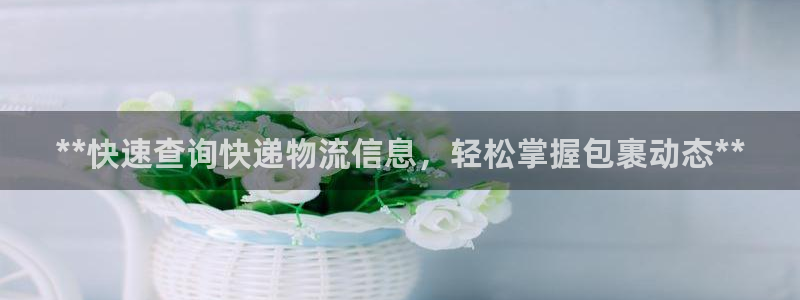 28圈二维码：**快速查询快递物流信