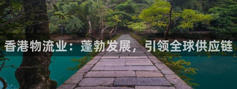 28圈加拿大预测：香港物流业：蓬勃发