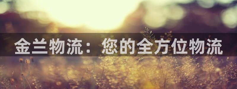 28圈加拿大在线预测