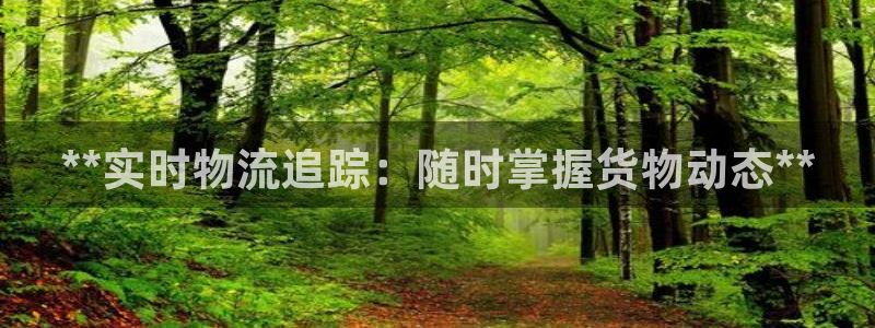 28圈注册网站加拿大：**实时物流追