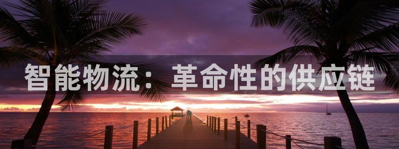 28圈吧：智能物流：革命性的供应链