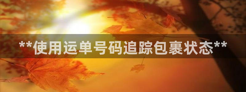 28圈充值