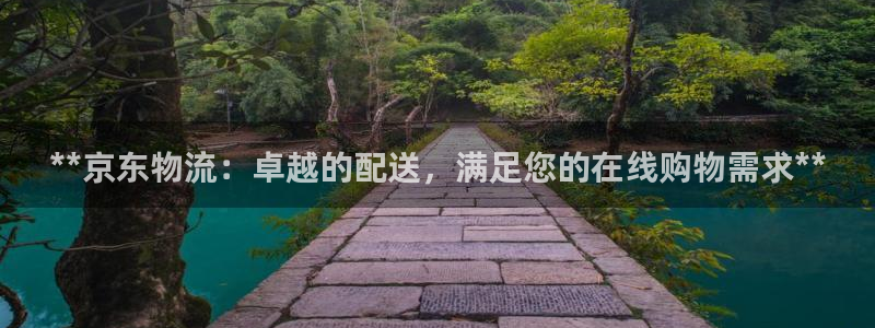 28圈人头费：**京东物流：卓越的配