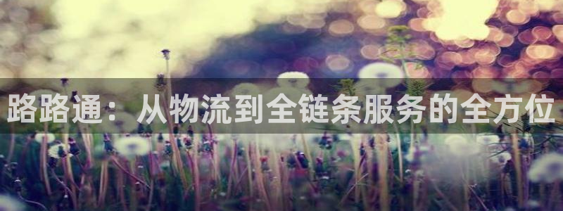 28圈怎么注册下载：路路通：从物流到