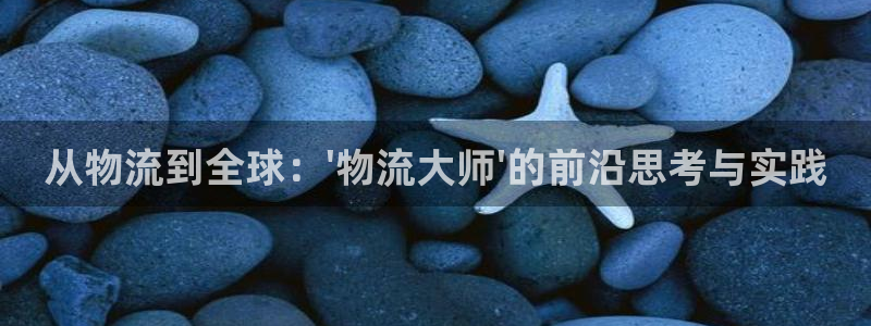 28圈PG电子游戏：从物流到全球：\