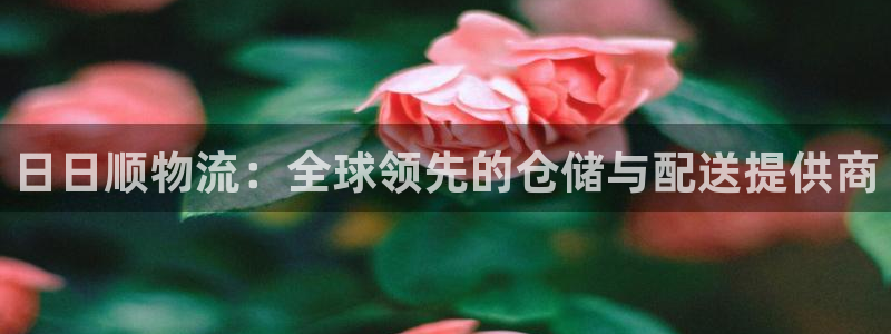 加拿大28圈注册链接：日日顺物流：全