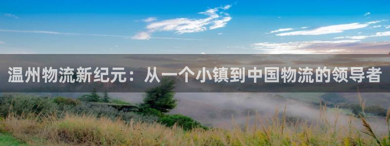 28圈p图上分下款通道：温州物流新纪