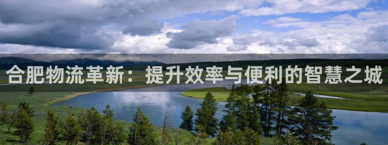28圈麻将胡了：合肥物流革新：提升效