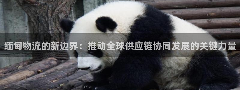 28圈注册教程：缅甸物流的新边界：推
